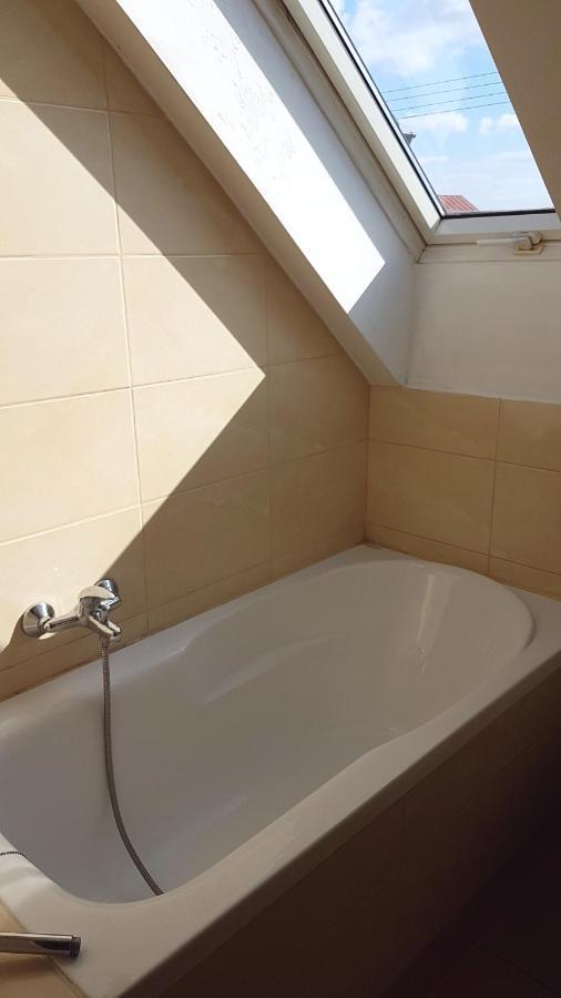 E&S_ Apartament ミリチ エクステリア 写真